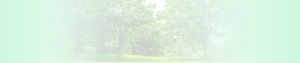 contact_bg